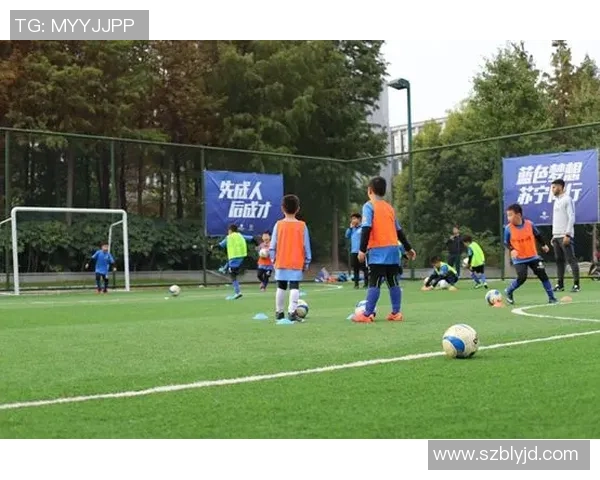 足球的季节带来的激情与梦想在绿茵场上交织的青春岁月